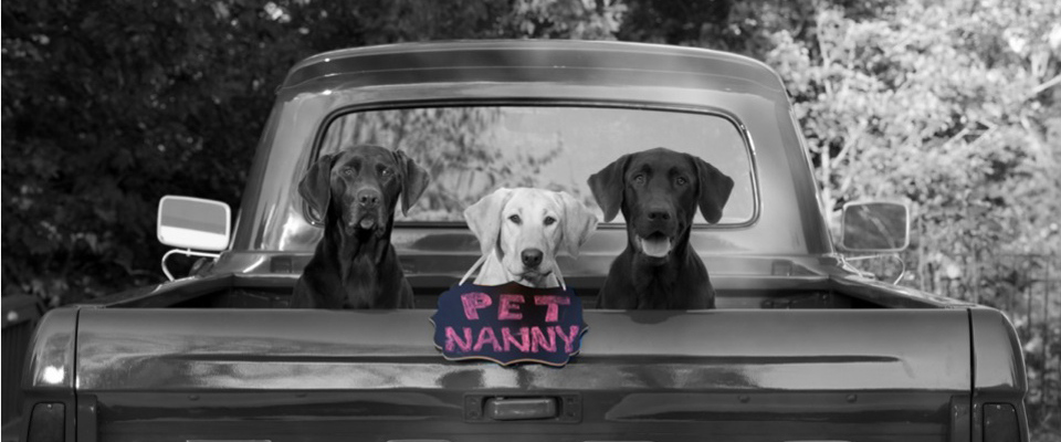 the pet nanny