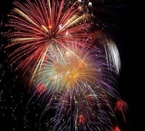 Fireworks and Pets – Tough Mix