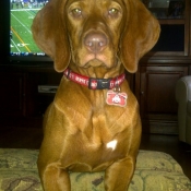 1156-riley