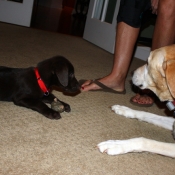 cooper-and-reilly2