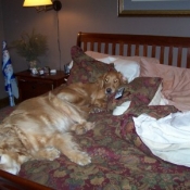 morgan-and-bella.jpg